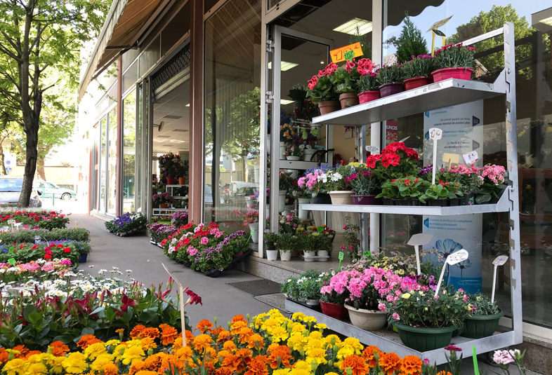 colombes magasin