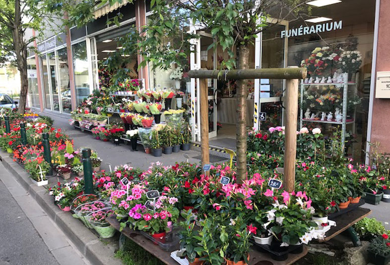 colombes fleurs magasins